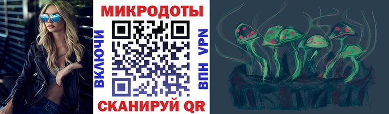 Галлюциногенные грибы Psilocybe  наркотики  Рассказово 